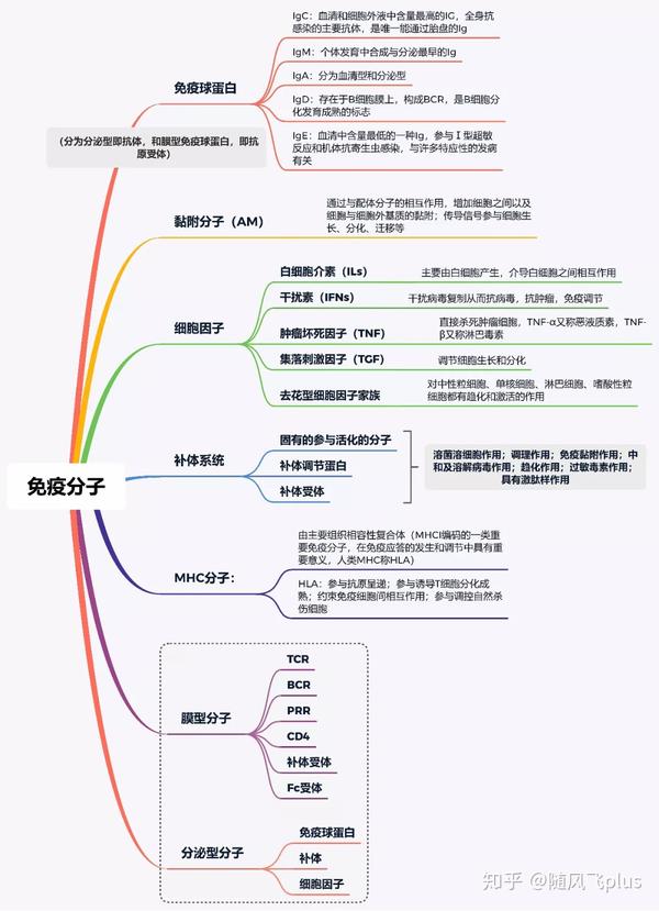 皮膚免疫知識點總結