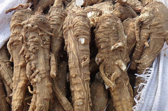 90后情侣,坚持喝玫瑰花3个月,消散甲状腺结节,后来怎么样了?