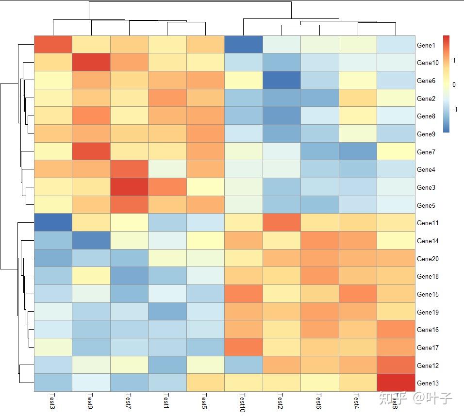 R Pheatmap绘制热图 学习笔记 知乎