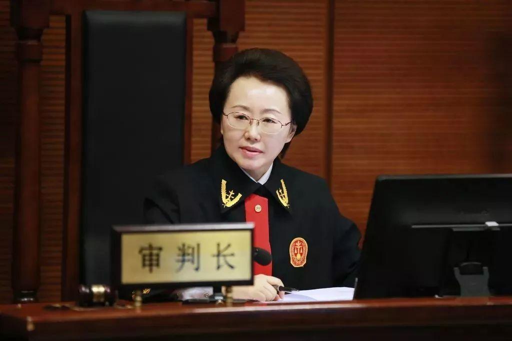 打击网络黑产海淀法院开启新起点