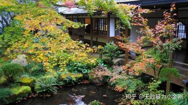 京都旅游小众但却绝美的景点 三千院 知乎