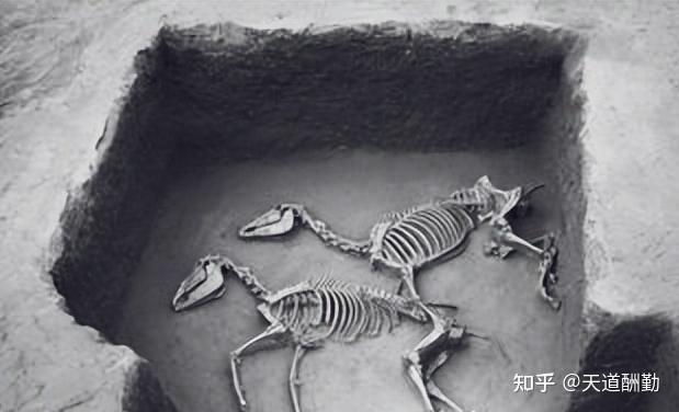 千年古墓遭盗掘,盗墓贼内讧死状凄惨 - 知乎