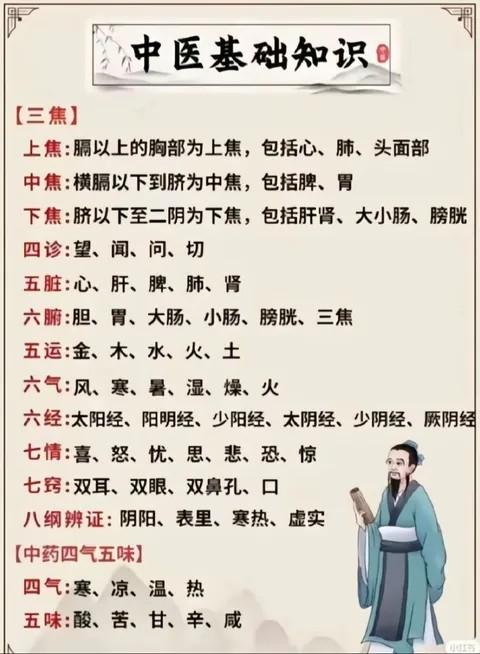 中医五脏六腑指的是哪些器官?心肝脾肺肾对应的时间 中医入门顺序 - 知乎