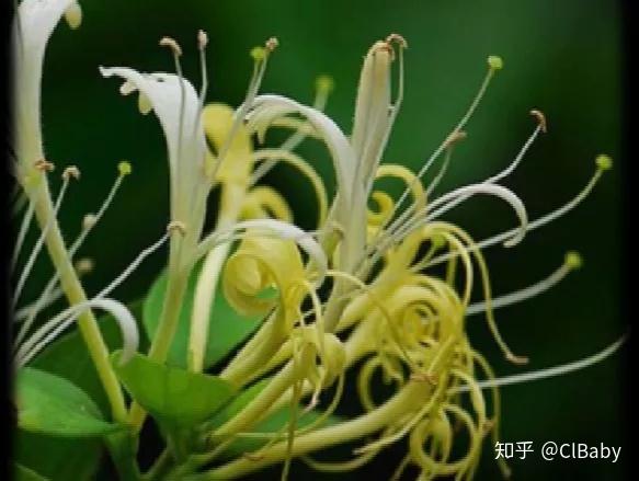 健康化妆美容论文_最健康的化妆品_聚美优品化妆品有假货么