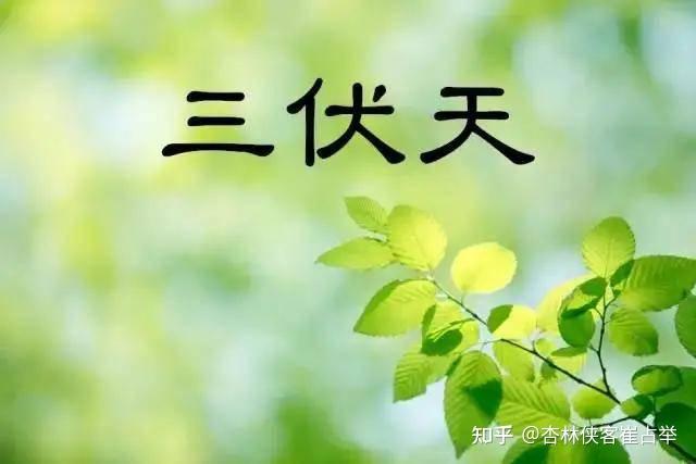 三伏天养生怎么做？做到“三防”、“二养”，赶走一身小毛病 - 知乎