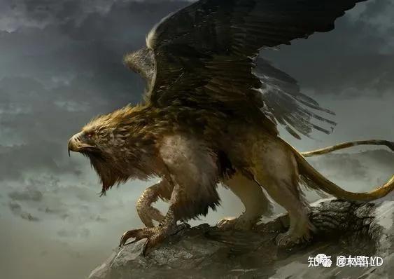 神话生物——自带主角光环的狮鹫 Griffin - 知乎