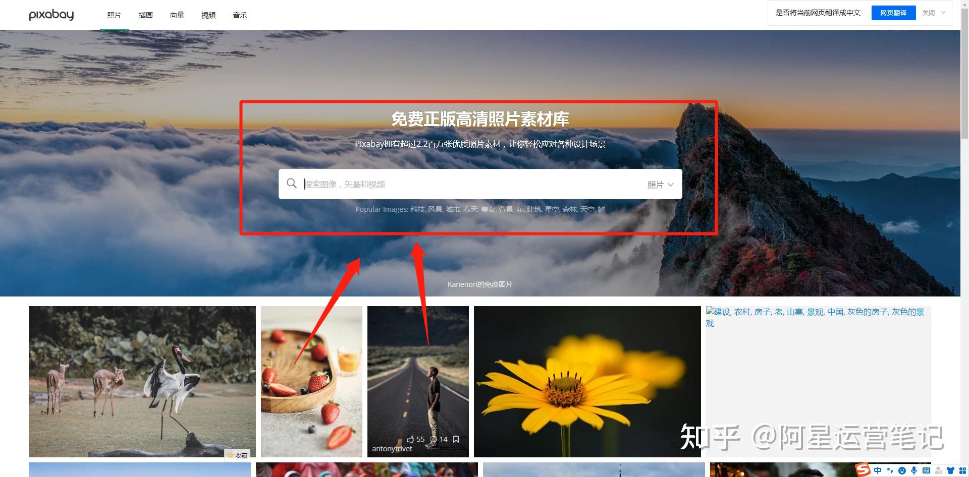 pixabay官网中文图片