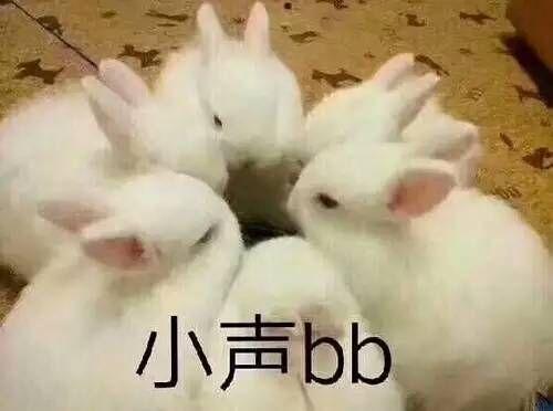 v2-1f908fa6cd504f70b7773c021fe3480b_r.jpg