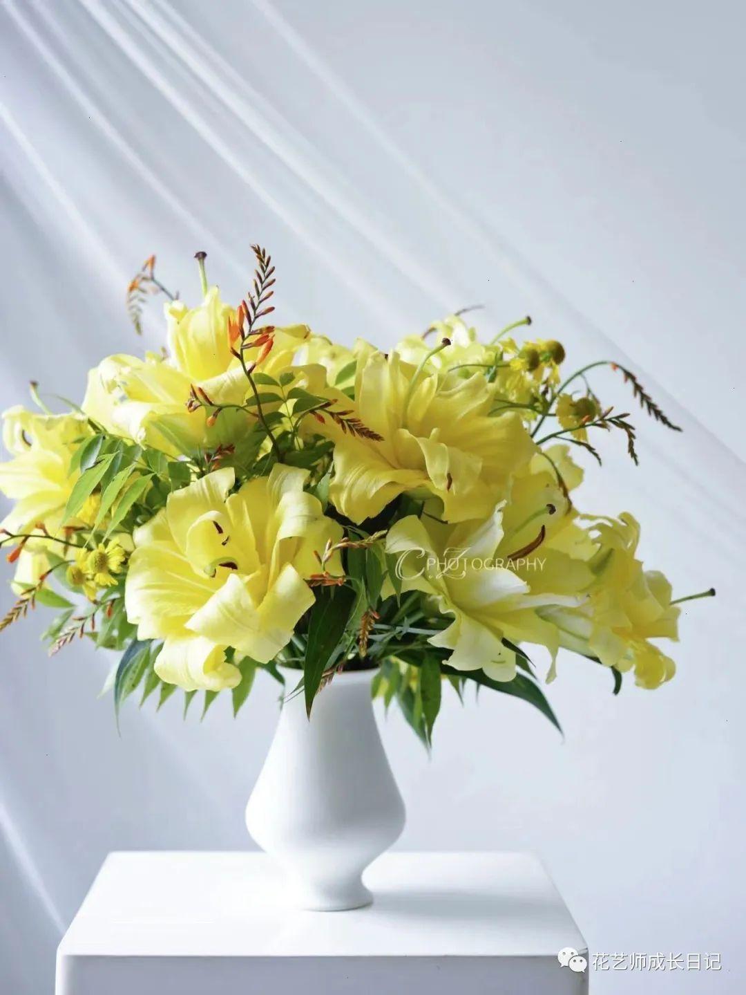 100朵百合vol10异国阳光百合阳光撒下的颜色