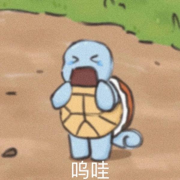 杰尼龟的表情包 - 知乎