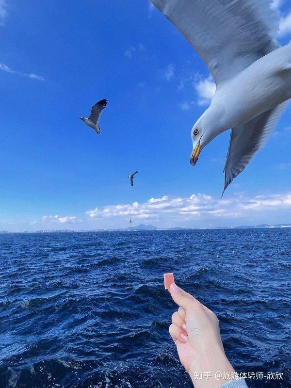 大连旅游攻略——花3分钟耐心读完,轻松玩转辽宁大连,看完预算立省30%