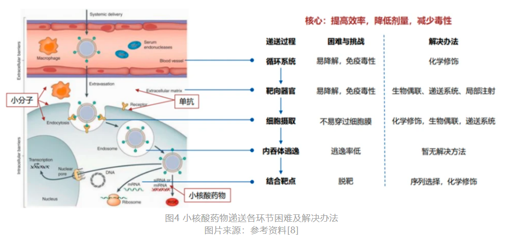 小核酸药物体内递送应用——Alzet渗透泵 - 知乎