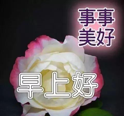 八月节早上好图片图片