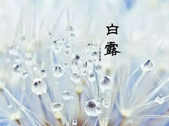 冬天怎么养生养心 v2-1fd8424358d55bff9b6b00823a1169b6_r.jpg