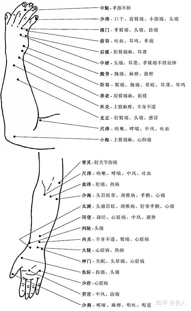 人体穴位图大全（带穴位功能主治说明） 知乎 9480