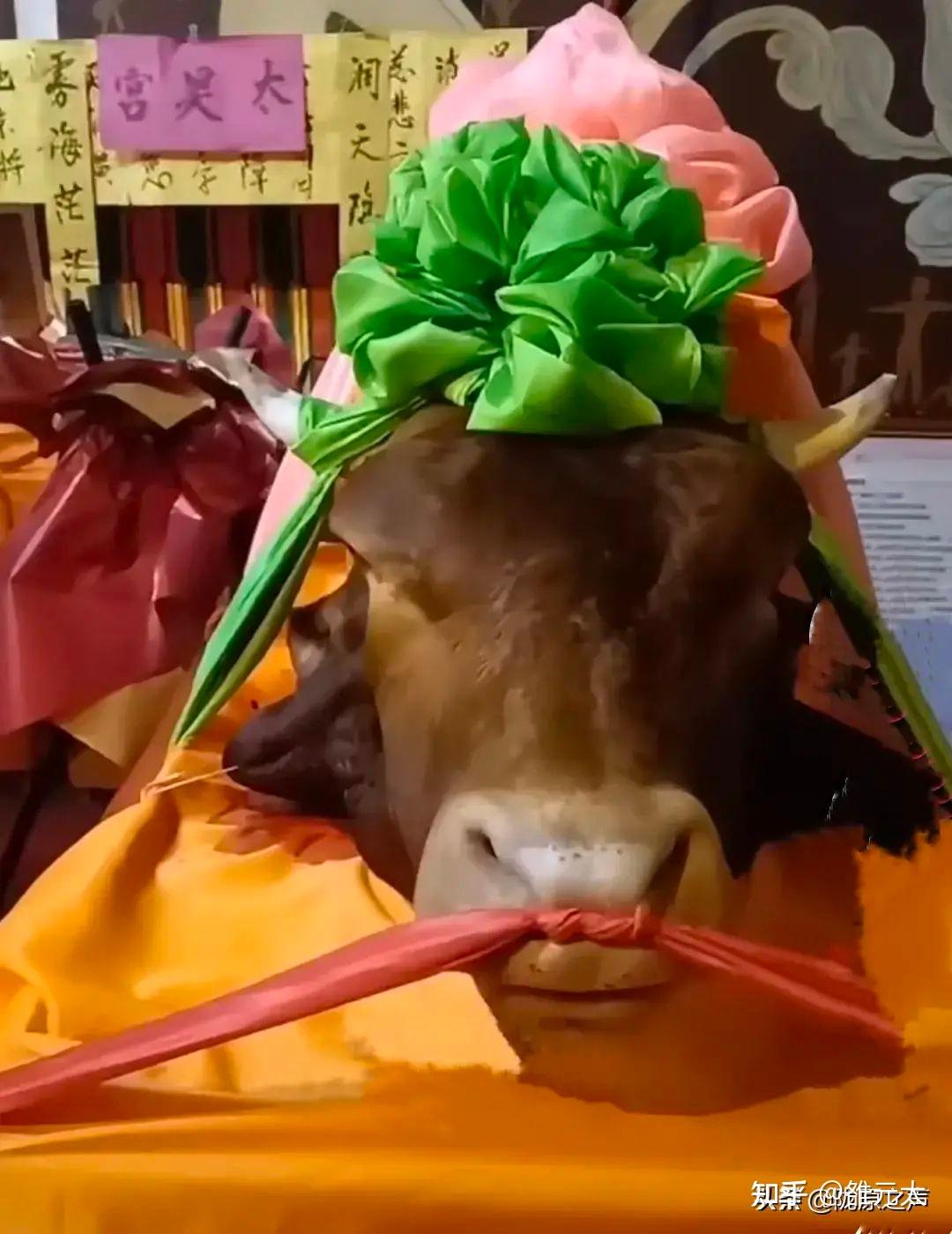 六盘山东西多为地母伏羲女娲的祭祀活动影响最大的当数甘肃天水
