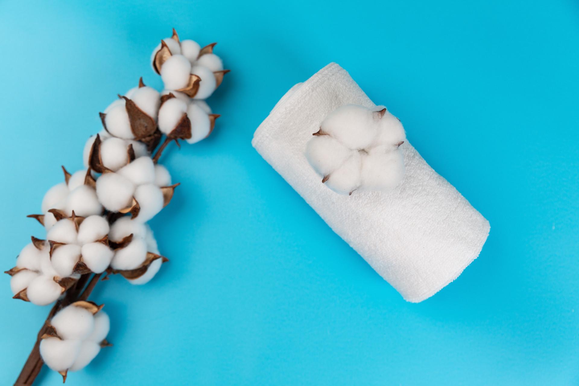 就已经有部分国家的厂家开始禁止使用国内新疆地区的棉花以及相关制品