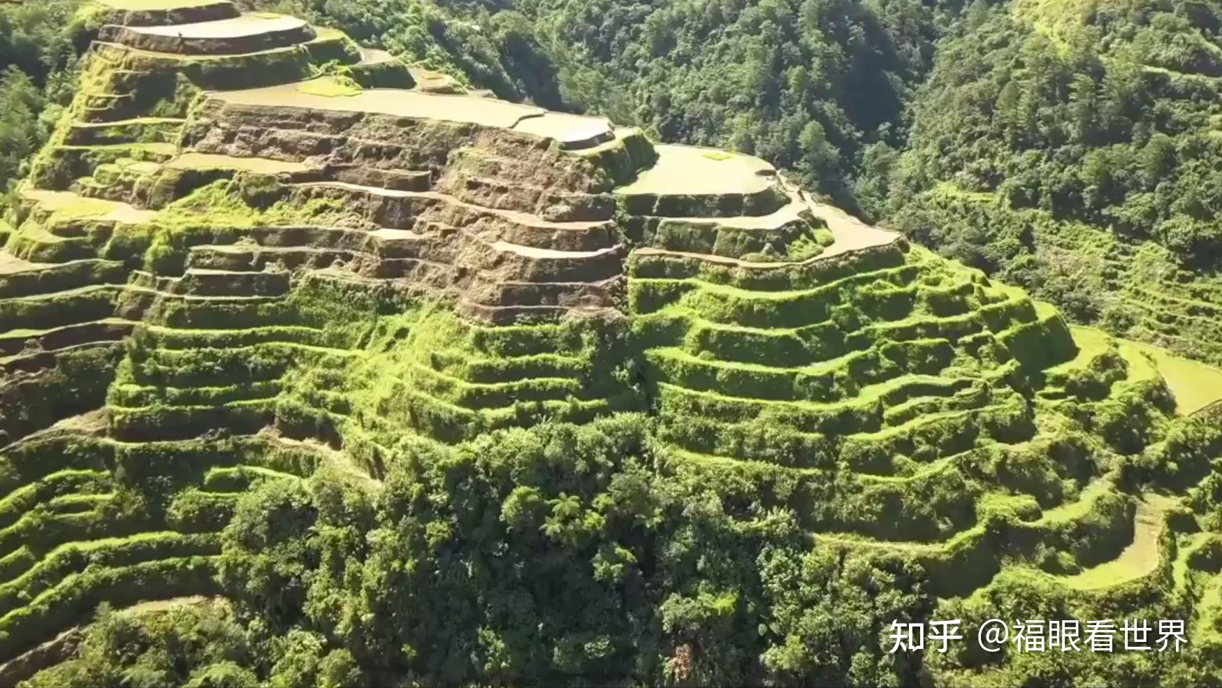 2000 年来,人们一直在沿着科迪勒拉斯山脉的梯田种植水稻,当摄影师