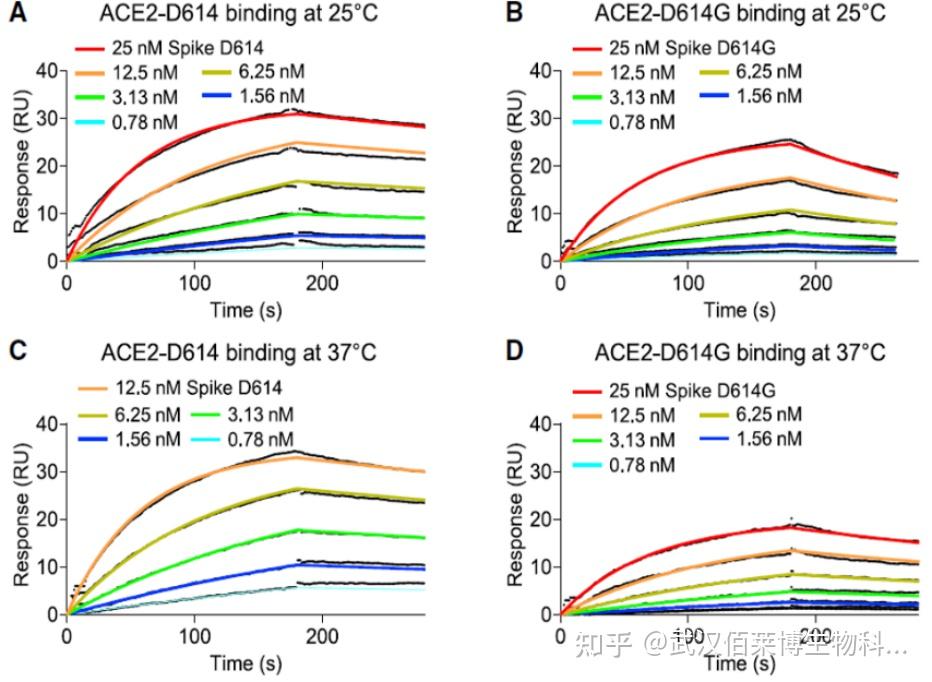 表面等离子共振 (SPR) 实验技术 - 知乎