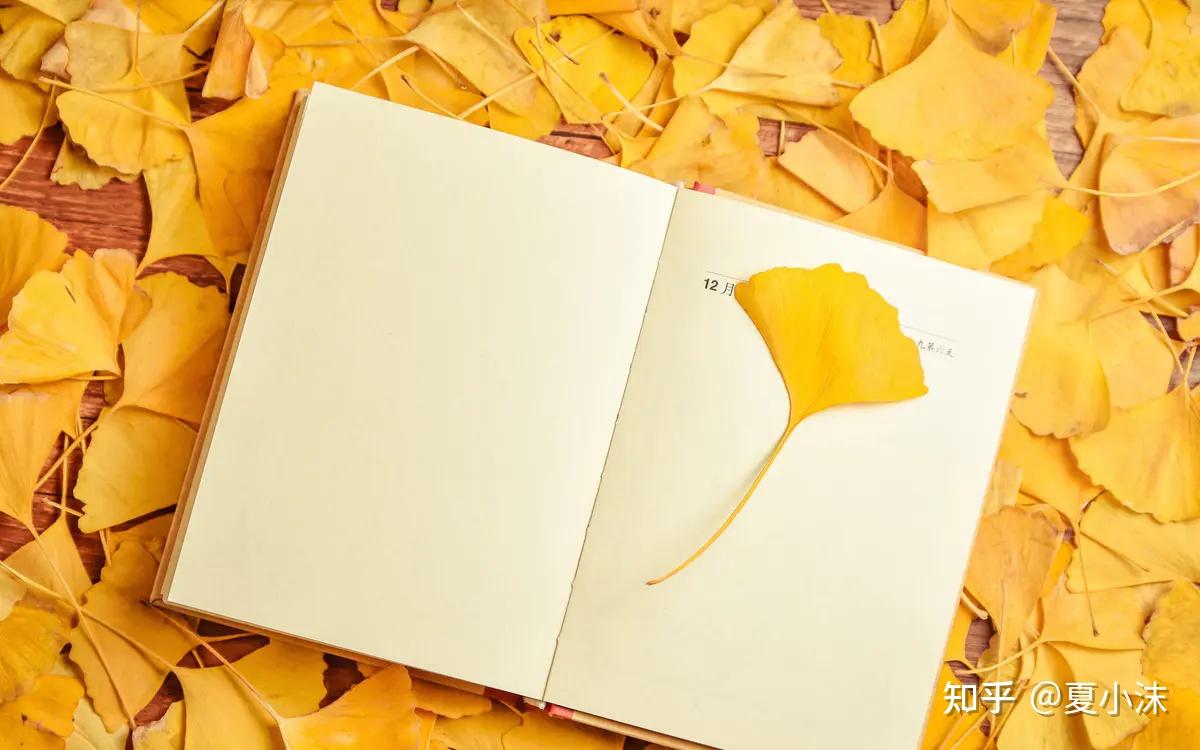 揭秘高赞文案背后的逻辑结构搭建全流程指南 (高点赞文案)