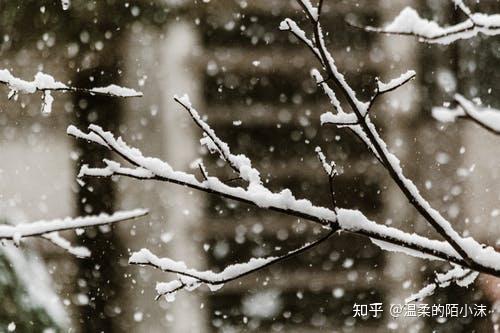 下雪的文案 v2-202759521240a52789058cce0aa4c20f_r.jpg