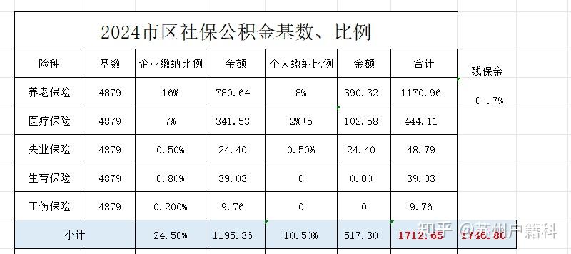 苏州社保缴费明细表图片