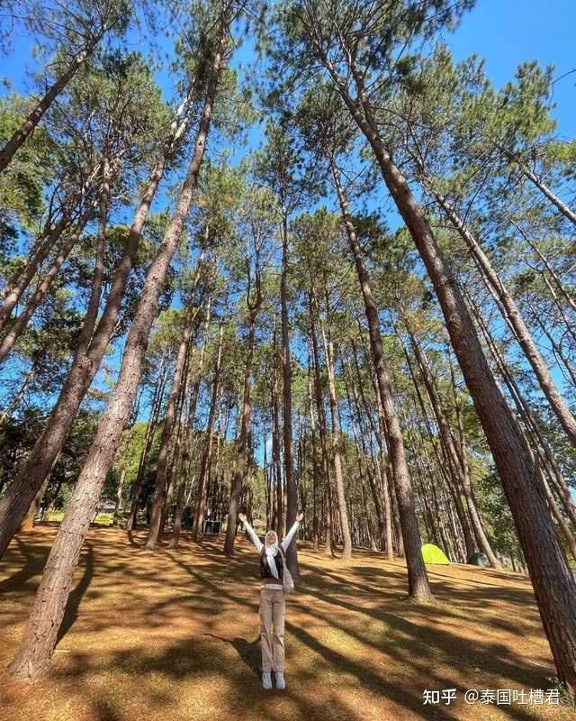 2023 泰国 10 大最佳旅游景点,第一次到泰国去哪里?玩什么?