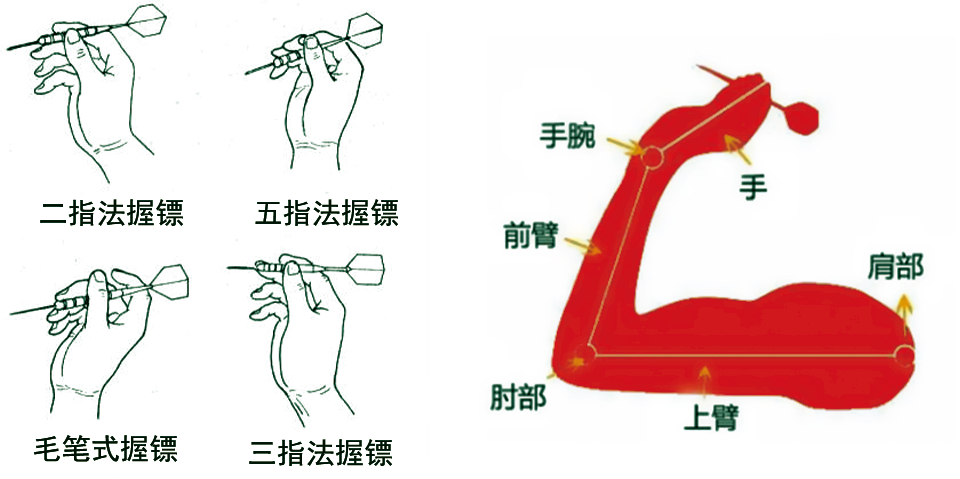 飞镖专业正确手势教程图片