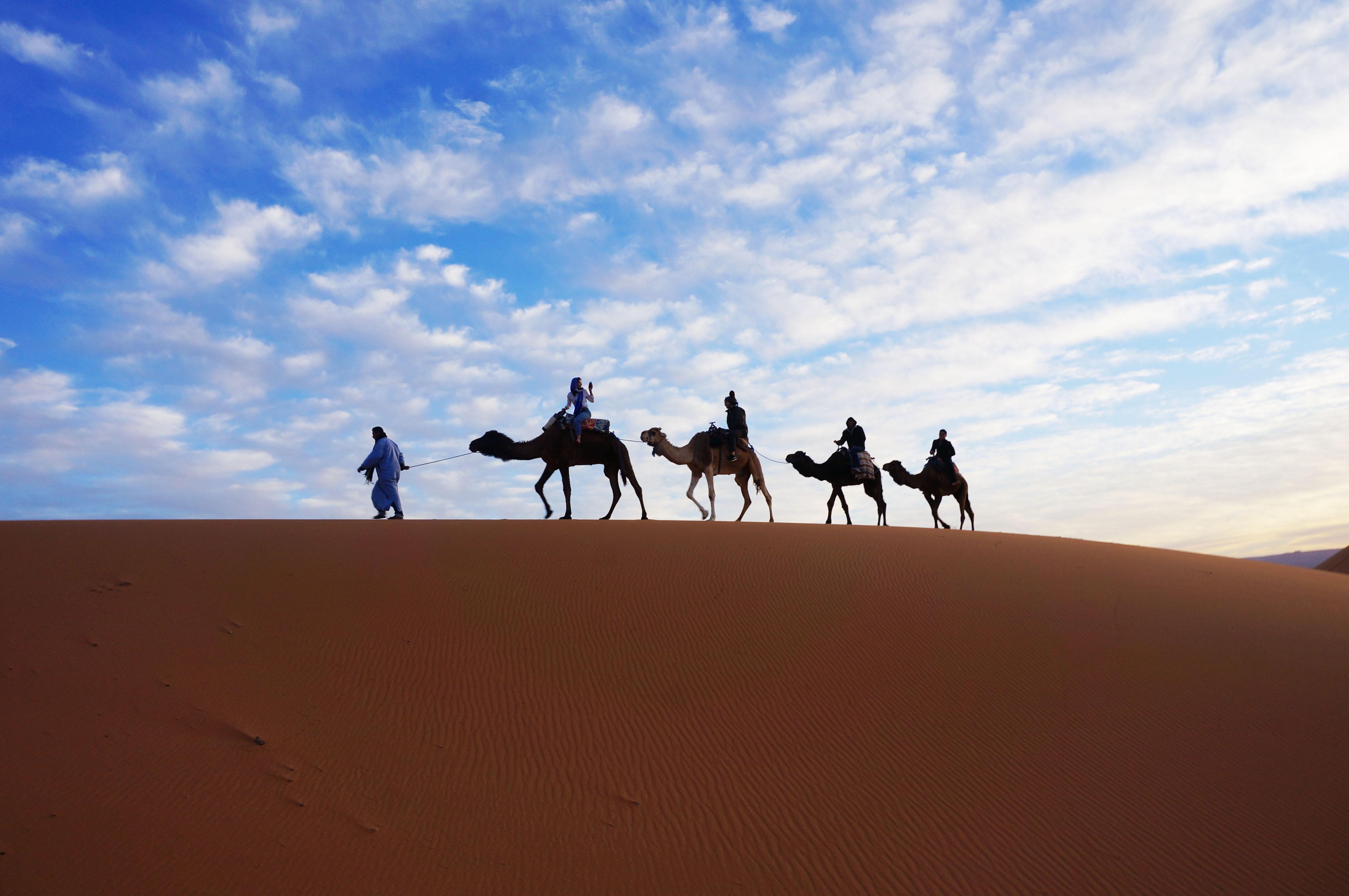 骆驼队在金黄沙漠中前进沙漠旅游 - PSD素材网