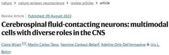 Nat Rev Neurosci综述：大脑中一类重要细胞—接触脑脊液的神经元 - 知乎