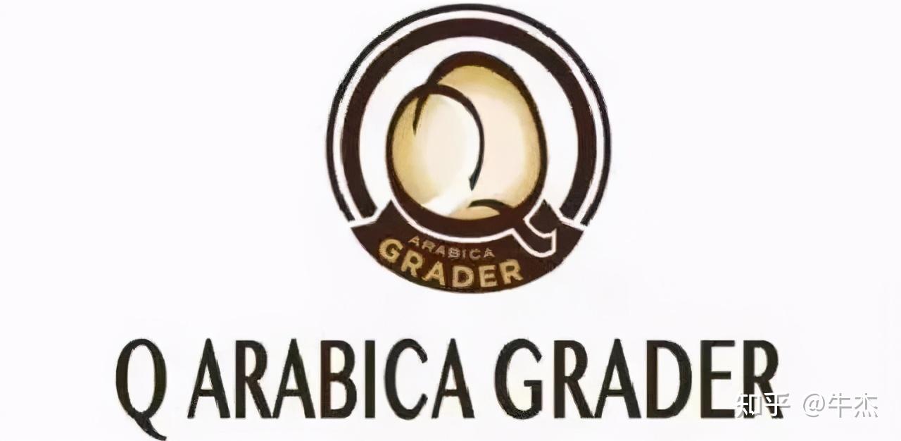 1 关于sca,scaa,scae