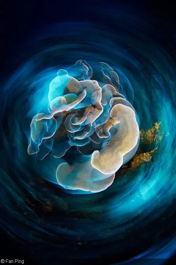 水下摄影师眼中的海底有多美