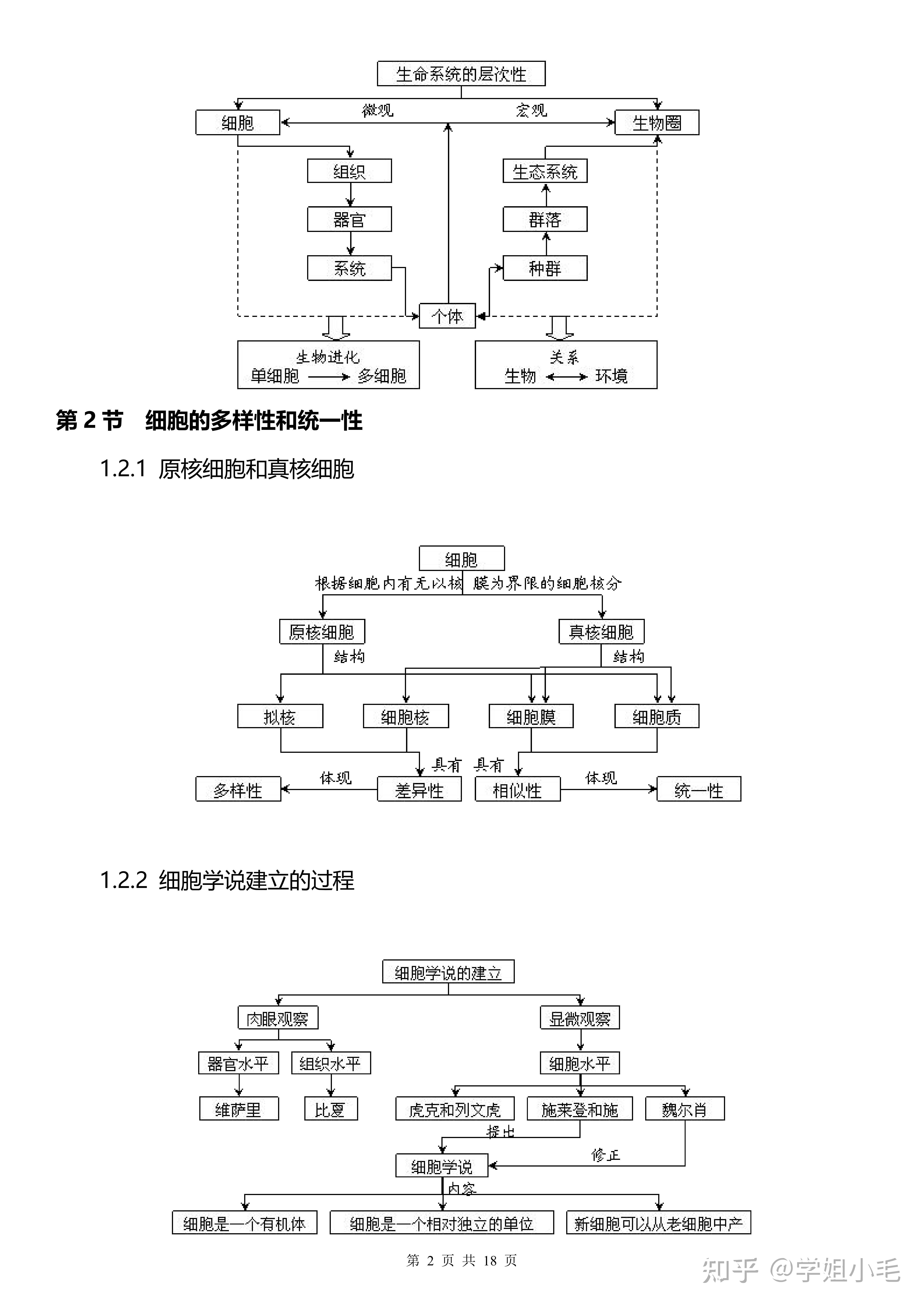 高中生物必修一知识网络图