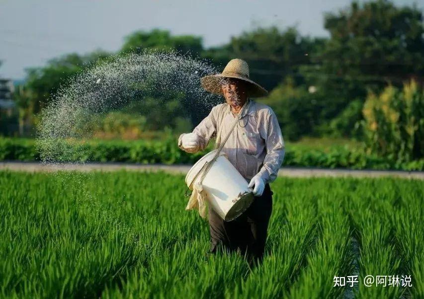 黑化肥虽然会挥发,但涨幅却很惊人. - 知乎