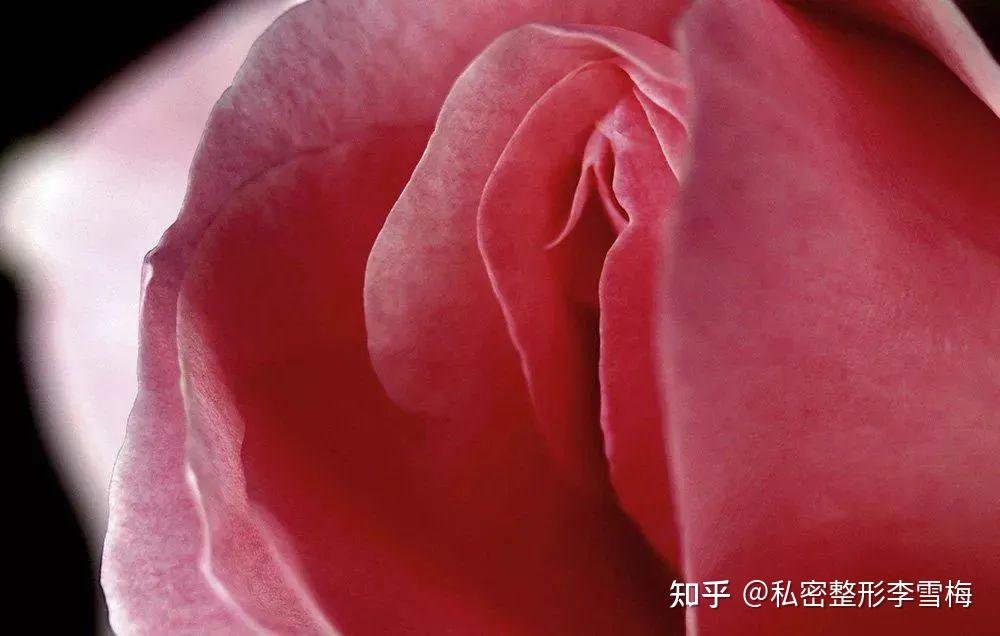 zhuanlan.zhihu.com