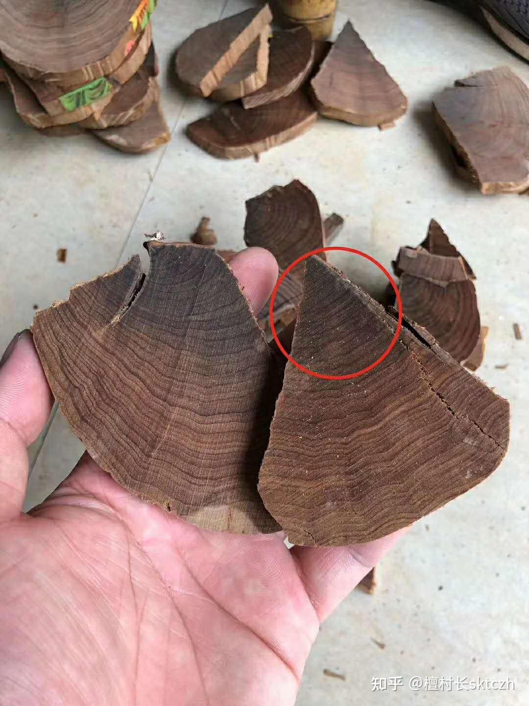 老山檀的鉴别方法探讨，真的很不容易！ - 知乎
