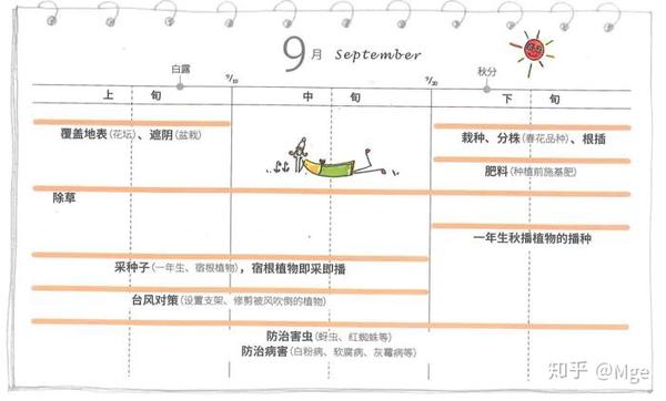 想打造一个属于自己的宿根花园吗 知乎