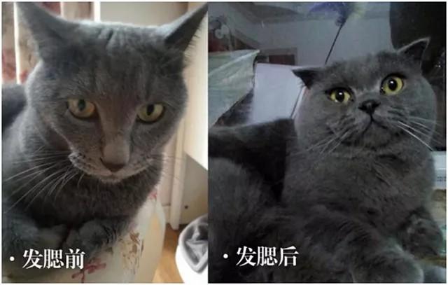 年过25岁等待你的不只是发福发腮更难减