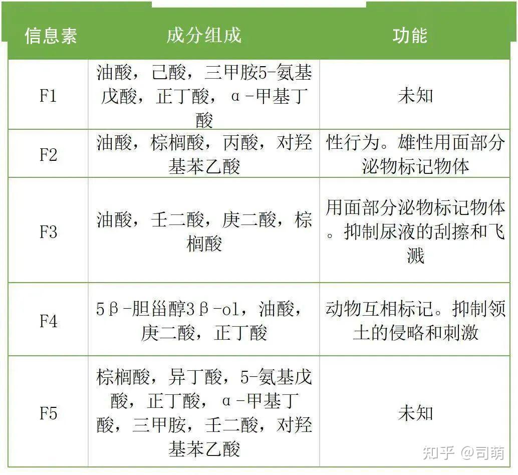 气味神话|合成的猫用信息素真的有用吗?