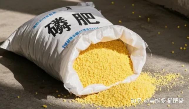 农业增产必看!磷肥利用率 15%→300% 提升的真相,你用对了吗? - 知乎