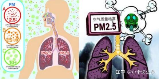 2026年除甲醛的空气净化器哪个牌子好?爆热品牌测评来了