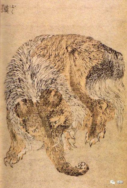 鬼压床是怎么回事?可能真有什么压着你 - 知乎