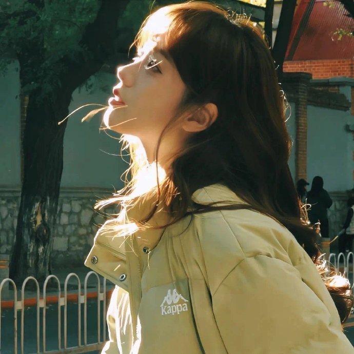 小猫小猫