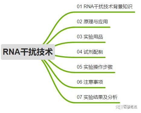 实验教程 | RNA干扰技术 - 知乎