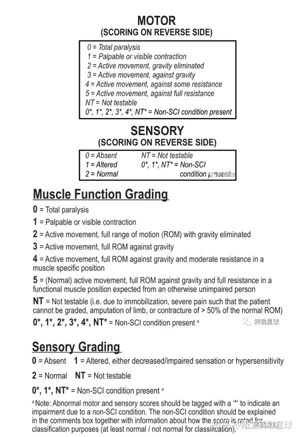 （新）ISNCSCI 2019修订版发布 - 知乎