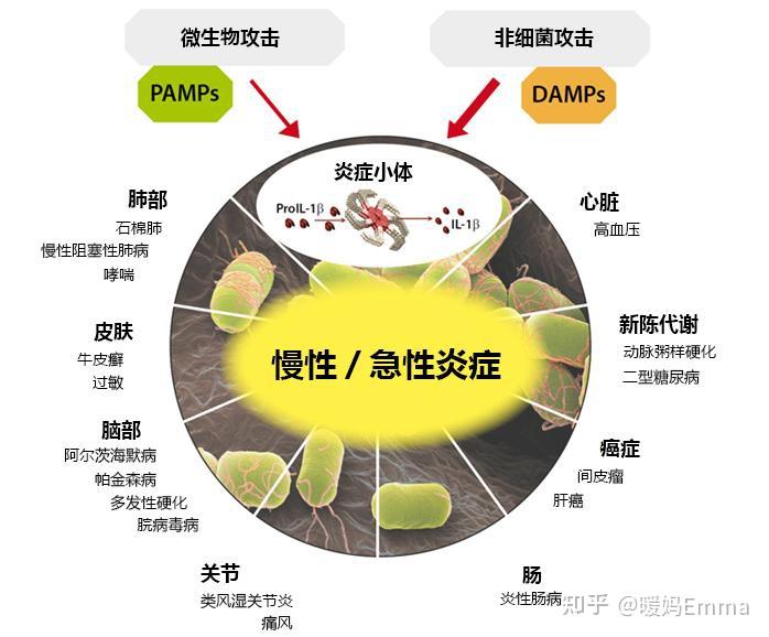 欧米伽3有副作用吗