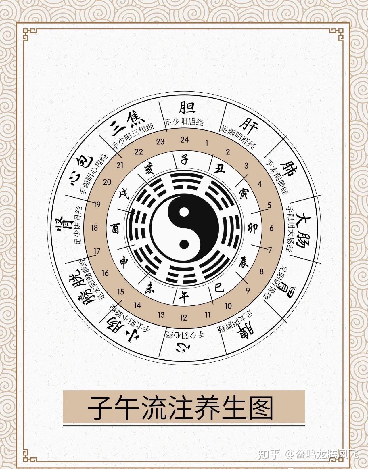 子午流注图:蕴藏健康养生秘诀! - 知乎