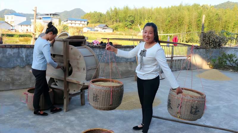 路边又发现了这种人见人怕的野果弟妹和嫂子带着手套来采摘