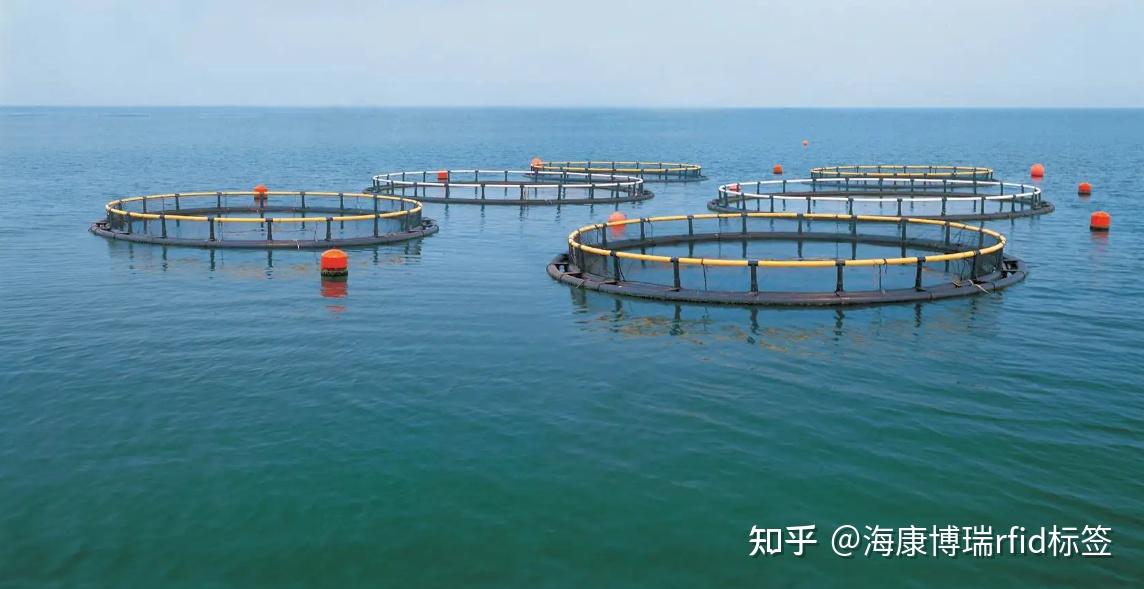 运用RFID物联网技术,渔业养殖跟踪系统,助力养鱼产业快速提升品牌信任度和食品竞争力 - 知乎