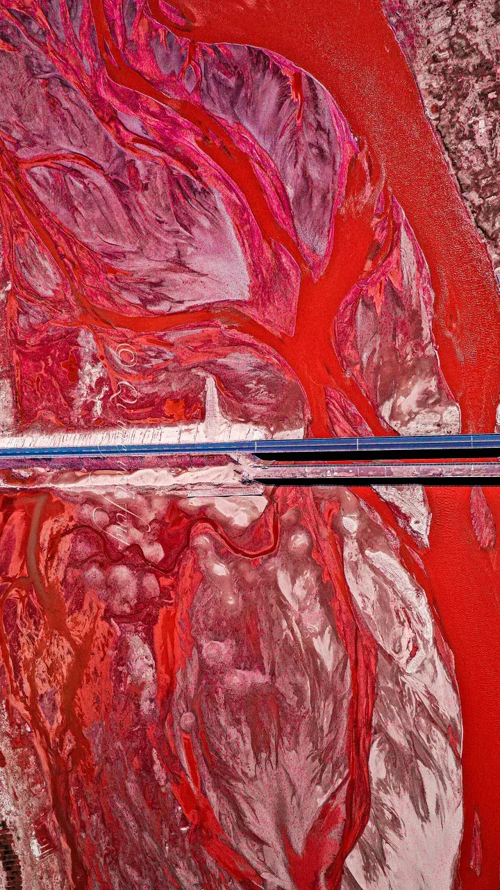 刚刚中国青海突然流出一批照片全世界都惊呆了